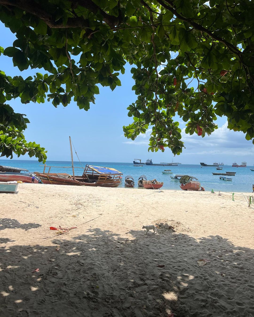 4 DAYS BEACH HOLIDAY IN ZANZIBAR