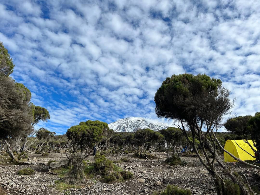 MOUNT KILIMANJARO DAY TRIP